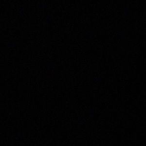 Meet your Posher, Trevor